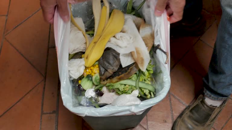 Best Dumpster Rental Services  in Lake Waccamaw, NC